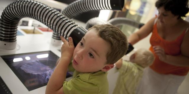 PLUS - Palais de l'Univers et des Sciences