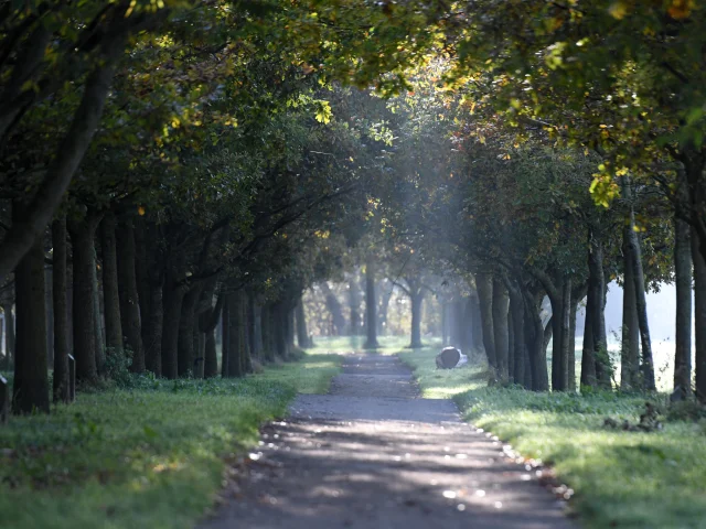 Pépinière De Gravelines
